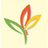 Puraveda Organics